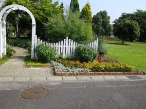 IMGP000113_1024