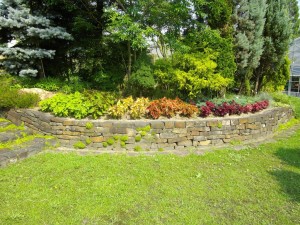 IMGP000118_1024