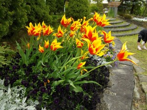 IMGP0002_1024