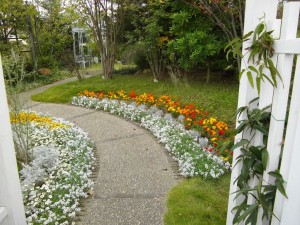 IMGP0005_1024