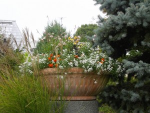 IMGP0007_1024