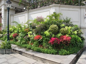 IMG_0464_1024
