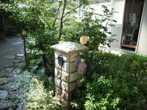 RIMG0020_1024