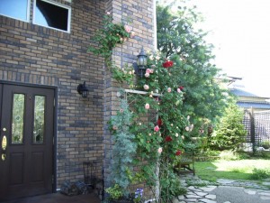 RIMG0029_1024