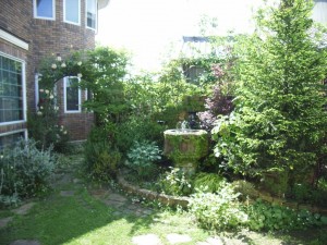RIMG0032_1024