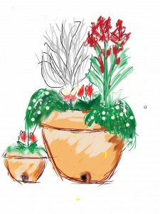 赤い花の鉢植え_デッサン